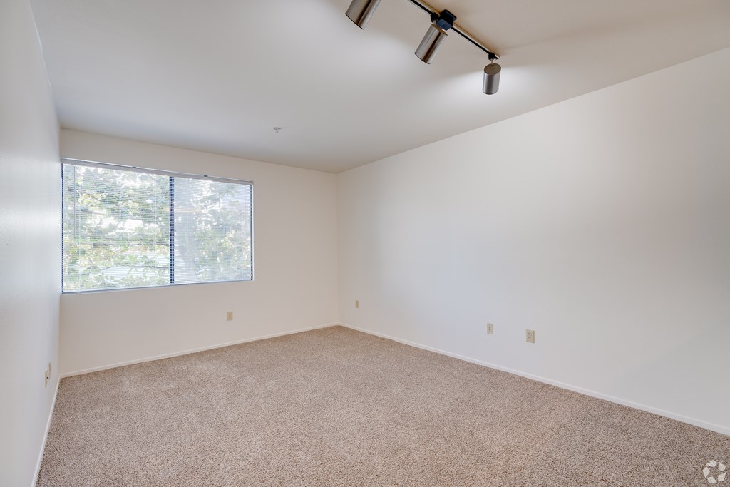 A large empty room with a window and carpeted floor.