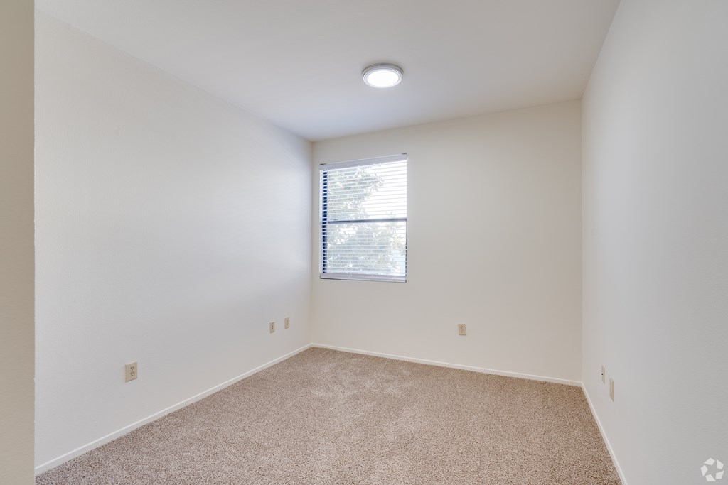 A room with a window and carpeted floor.