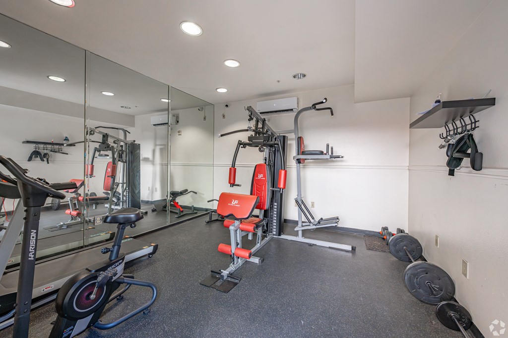 A gym with a variety of equipment including a treadmill, weights, and a bench press.