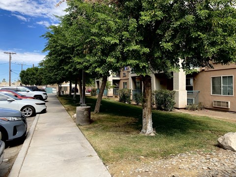 A tree in a grassy area in front of a building.