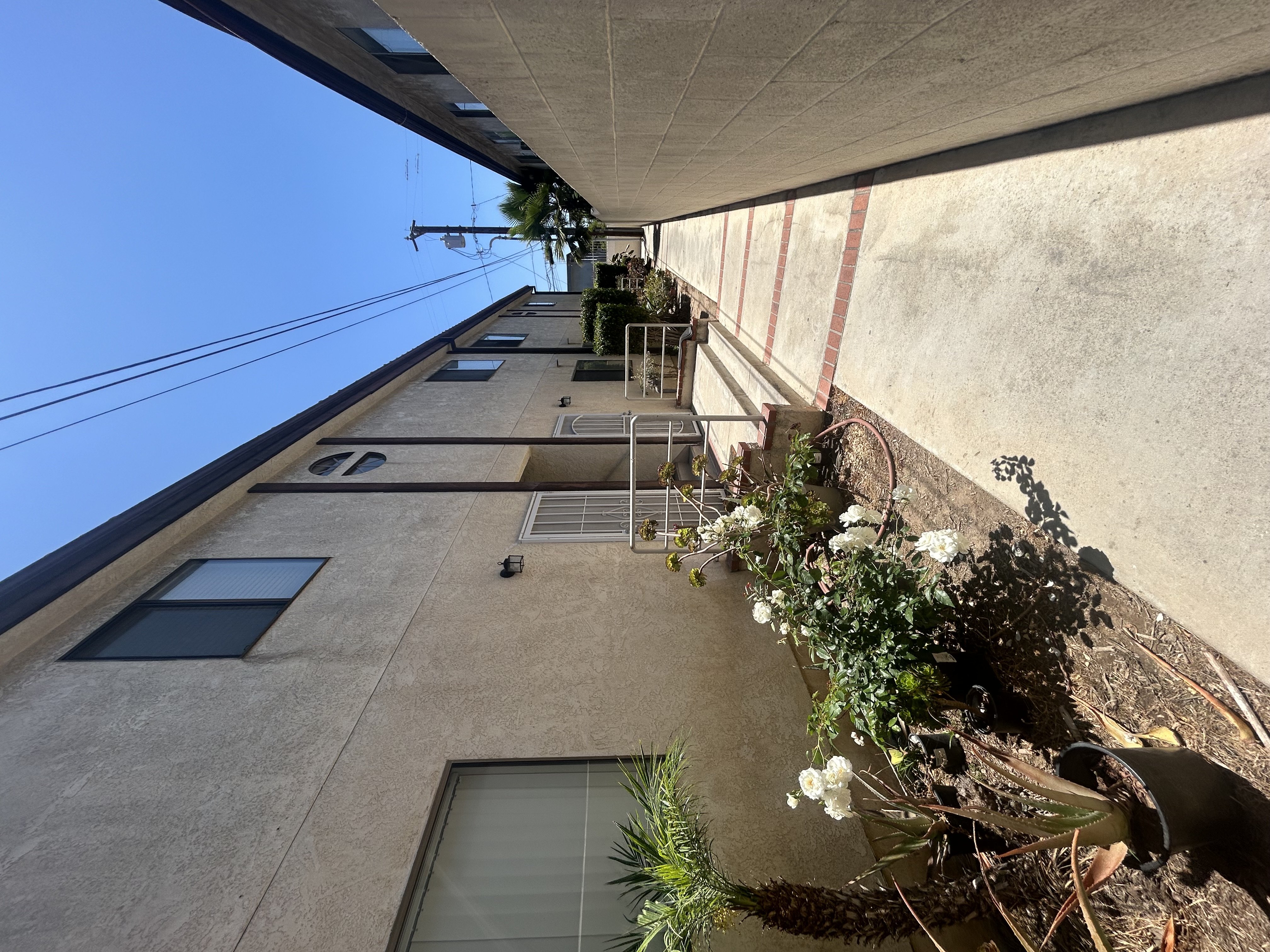A building with a balcony and plants on the ground.