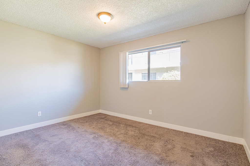 A room with a carpeted floor and a window.