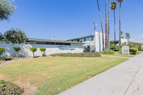 A building with a wall covered in graffiti is surrounded by a green lawn and palm trees.
