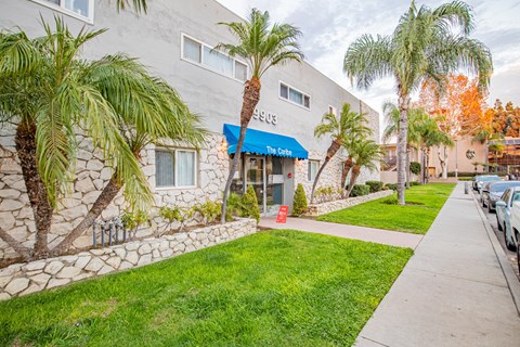 A building with a blue awning and a sign that says "The Cave" is surrounded by palm trees.