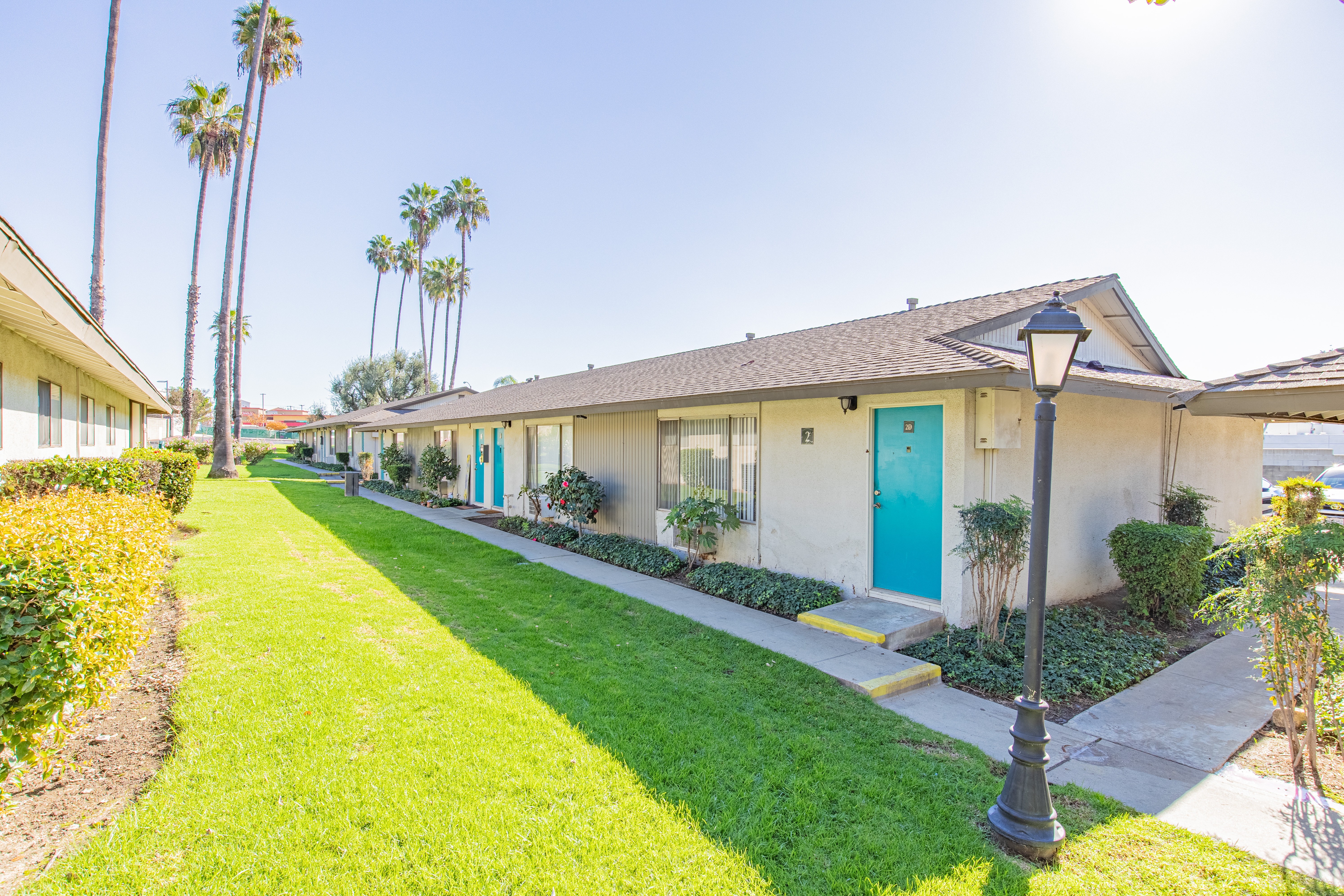 A sunny day at a row of houses with a blue door.