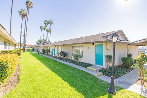 A sunny day at a row of houses with a blue door.