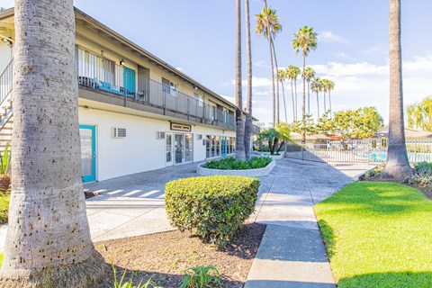 A building with a blue door and palm trees in front.