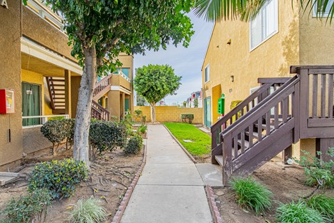 A tree in front of a building with a yellow door.