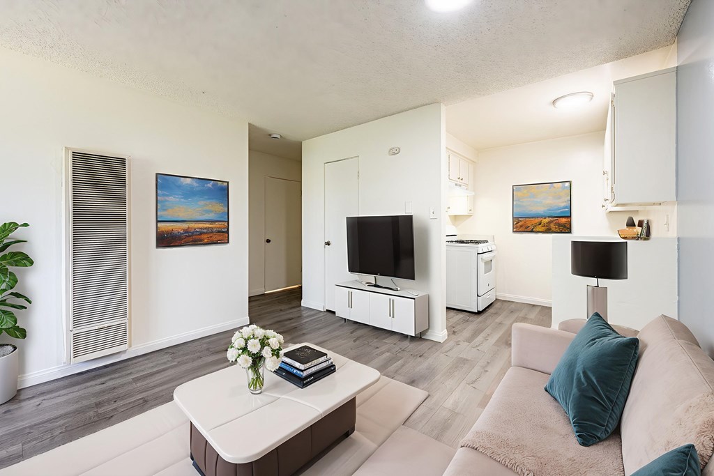 A living room with a couch, a coffee table, and a television.