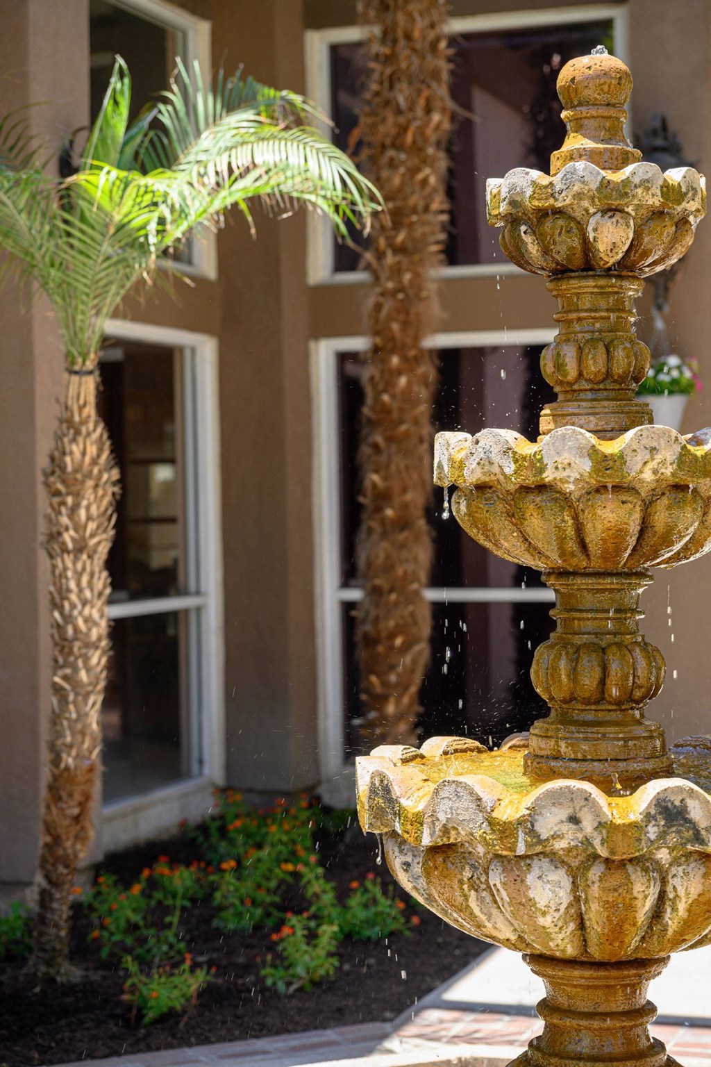 a fountain in front of a building at Oak Terrace Senior Apts, Hemet