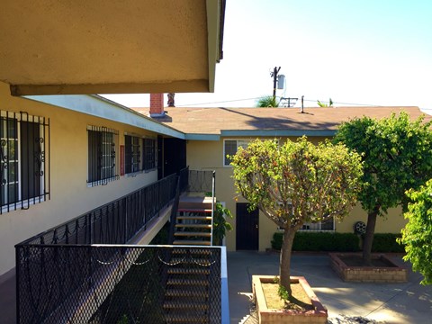 A tree in a planter is in the foreground of a building with a balcony.