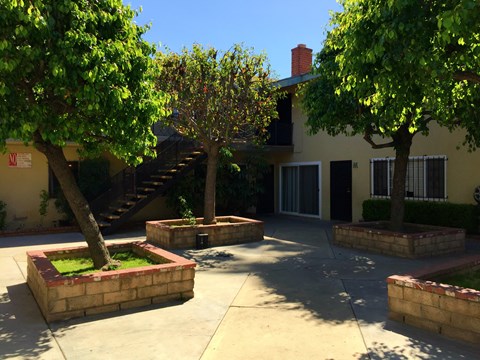 A tree in a planter box is in front of a house.