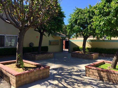 A courtyard with trees and a building in the background.