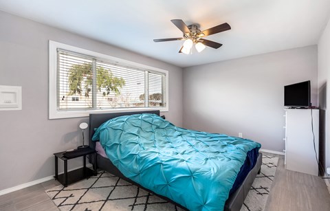 A bedroom with a blue comforter on the bed.