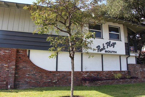 A tree in front of a building with a sign that says "Pit Plug South".