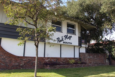 A tree is in front of a building with a sign that says Park Place South.