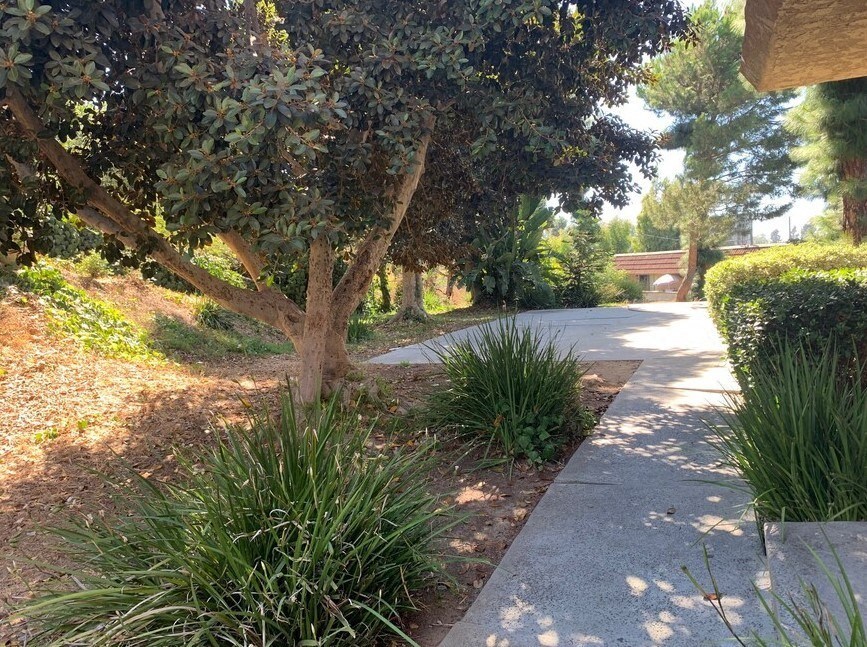 a path in a park with trees and plants at North View Terrace, Montebello, CA 90640