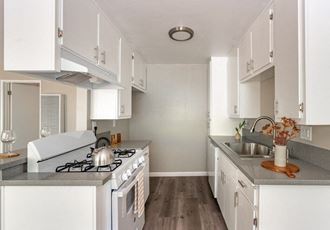 a white kitchen with a stove and a sink