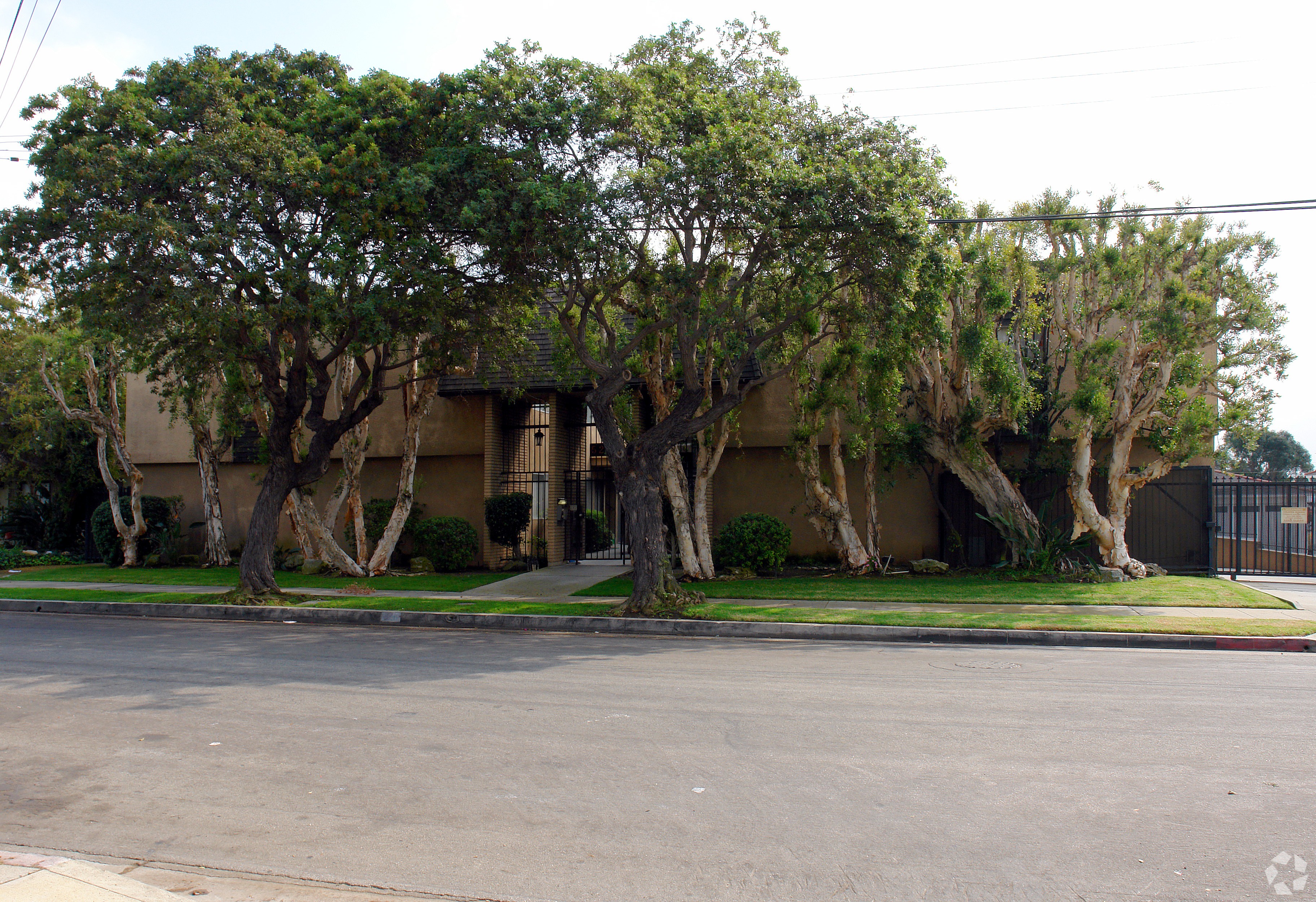 A tree-lined street in front of a building.