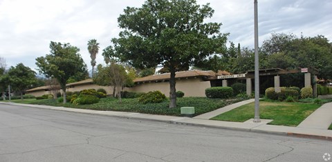 A tree in front of a house with a street in front of it.