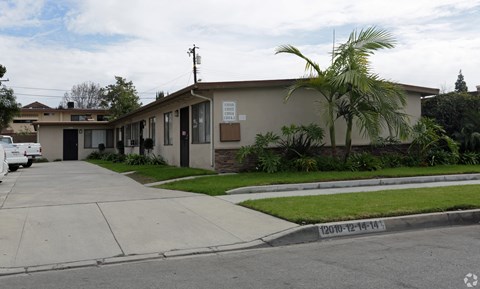 A house with a driveway and a palm tree in front.