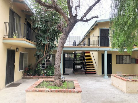 A tree in front of a building with a black gate.