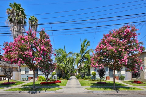 A street view of a residential area with houses, trees, and a clear blue sky.