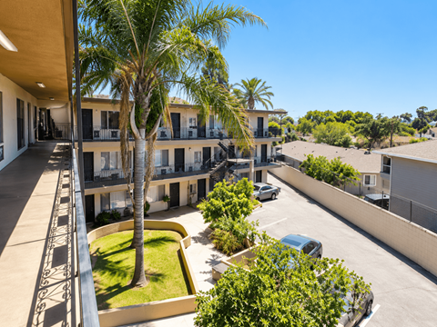 A view of a courtyard with a palm tree and a building in the background.