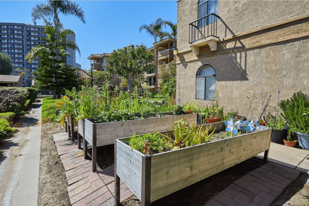 a community garden in front of a building at Huntington Terrace North Senior, California, 92648