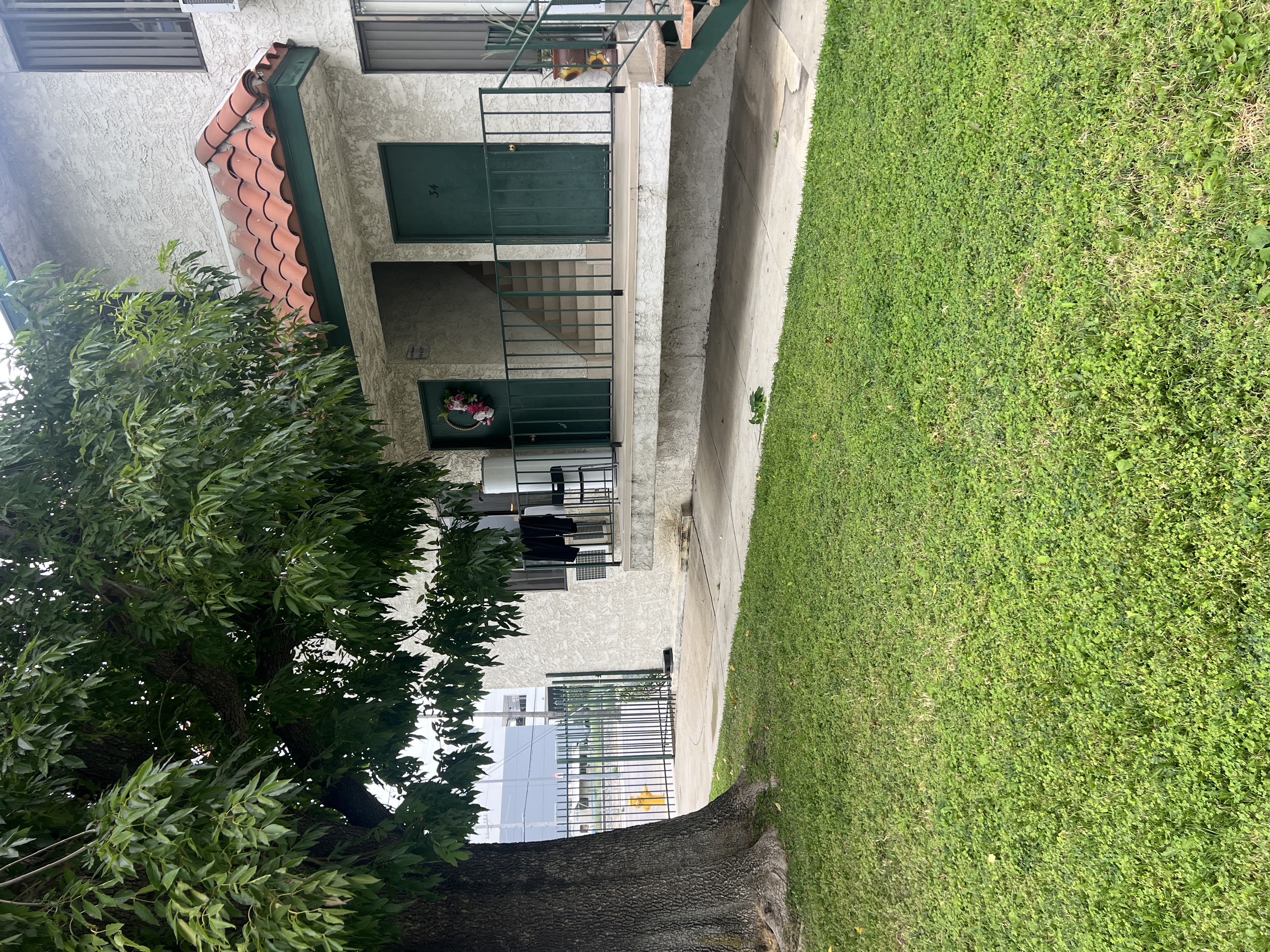 A green tree is in front of a building.