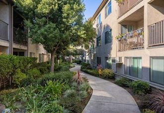 a sidewalk with trees and plants on either side at Mountainview Venture, Covina, CA 91722