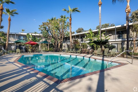 a swimming pool with palm trees and a building in the background a swimming pool with palm trees and a building in the background at University Park, Azusa, CA 91702