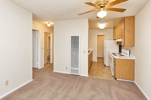 A living room with a fan and a kitchen area in the background.