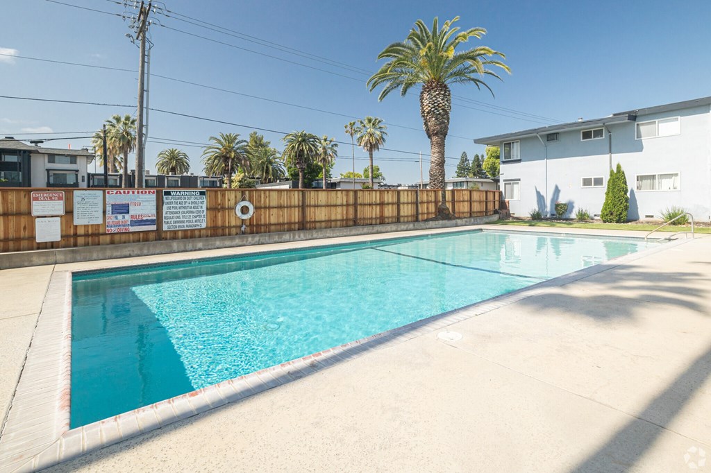 A pool surrounded by a wooden fence with a palm tree in the background.