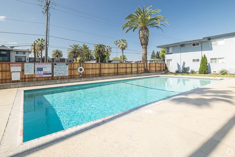 A pool surrounded by a wooden fence with a palm tree in the background.