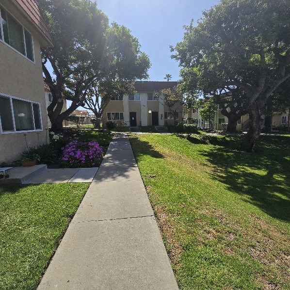 A sunny day at a residential area with a sidewalk and green grass.
