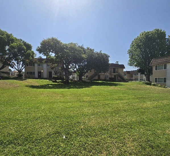 A sunny day in a grassy field with trees and houses in the background.