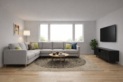 A modern living room with a grey sofa, a coffee table, and a flat-screen TV.