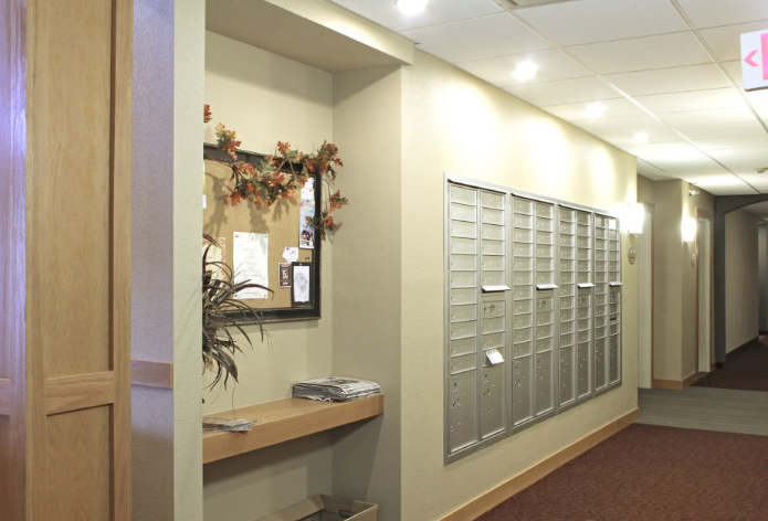 a wall of mailboxes in a long hallway with a mirror and a plant on the wall
