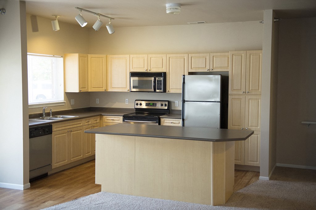 a kitchen with a large island and stainless steel appliances at Hearthstone Apartments and Townhomes, Minnesota, 55124