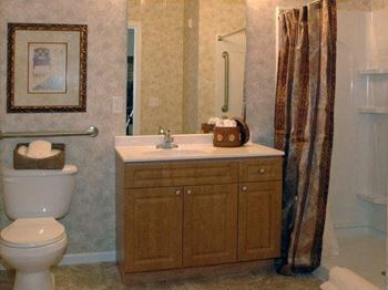 Walk-In Shower & Grab Bars