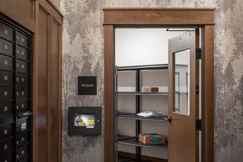 A package is on the shelf of a wooden door.