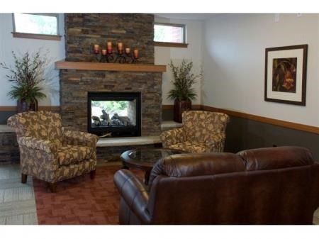 a living room with leather furniture and a fireplace