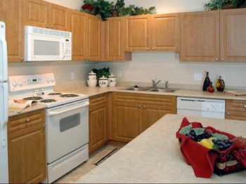 1735 Graham Avenue 1-2 Beds Apartment for Rent - Photo Gallery 4