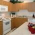1735 Graham Avenue 1-2 Beds Apartment for Rent - Photo Gallery 5