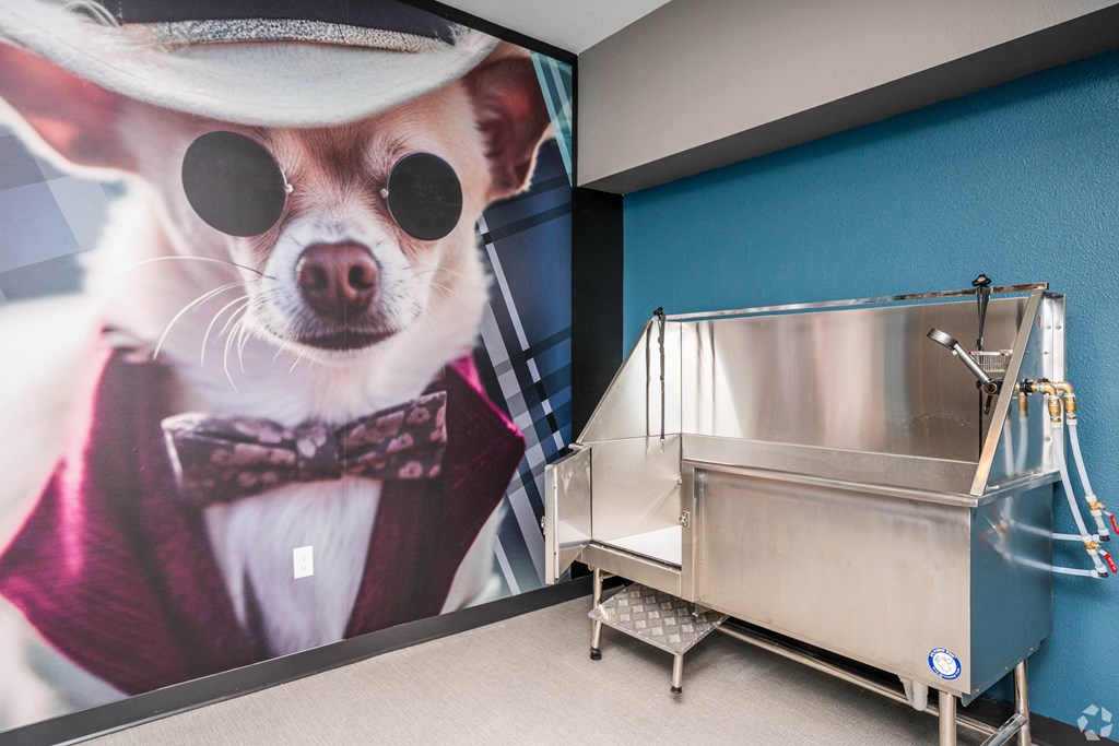 a room with a wash sink and a picture of a dog