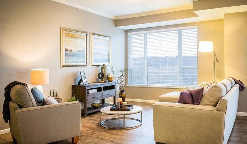 Living Area Interior at Victoria Park and V2 Apartments, St. Paul, MN