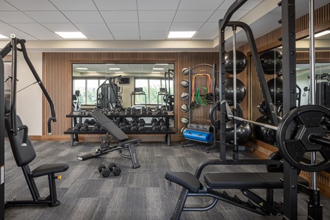 A gym with a variety of equipment including a bench press, a squat rack, and a rowing machine.