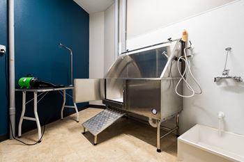 Pet washing facility at The Whitley.