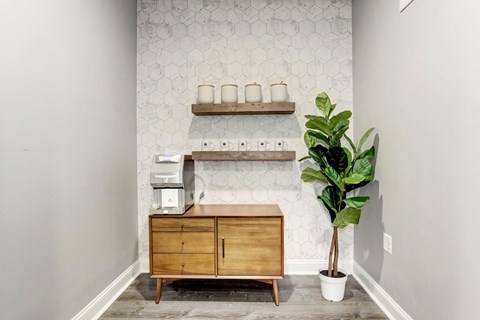 a kitchen with a wooden cabinet and a potted plant